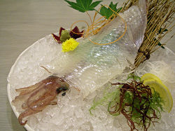 Squid of Genkai-Nada Sea