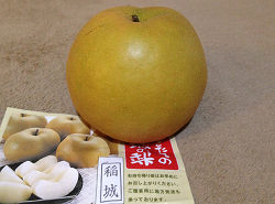 Pear of Inagi