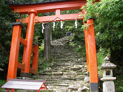The stone stairway of Kamikura-jinja shrine