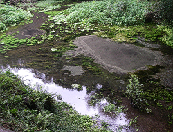 Spring Water Group of Kakita River