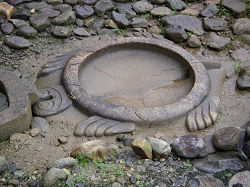 Turtle-shape Stone