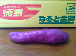 Naruto-kintoki Sweet Potato