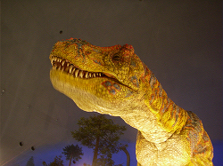 Fukui Prefectural Dinosaur Museum