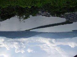 The upside down view