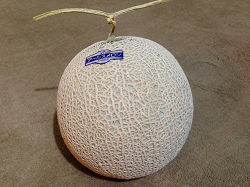 Hokota Melon1