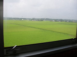 Kashima Rice-field-side Railway